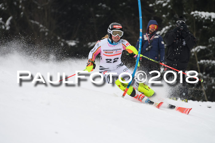 FIS Slalom Damen + Herren 23.02.2018