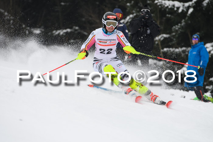 FIS Slalom Damen + Herren 23.02.2018