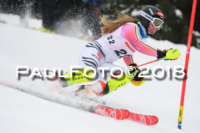 FIS Slalom Damen + Herren 23.02.2018