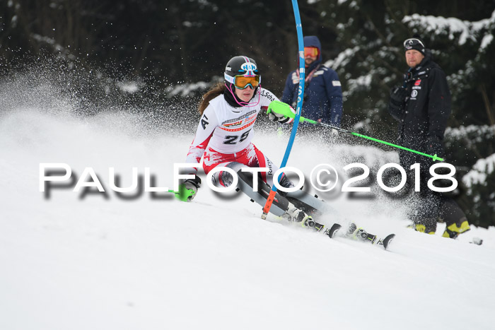 FIS Slalom Damen + Herren 23.02.2018