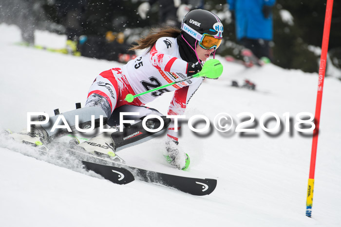 FIS Slalom Damen + Herren 23.02.2018
