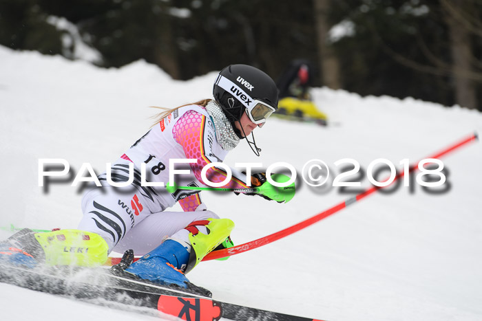 FIS Slalom Damen + Herren 23.02.2018