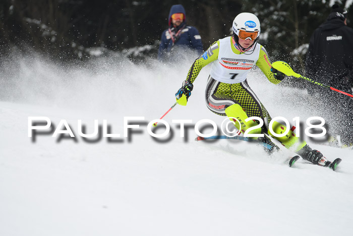 FIS Slalom Damen + Herren 23.02.2018