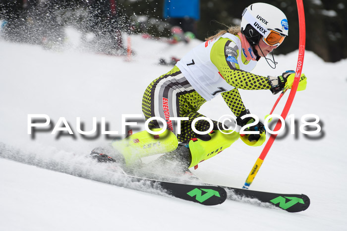 FIS Slalom Damen + Herren 23.02.2018