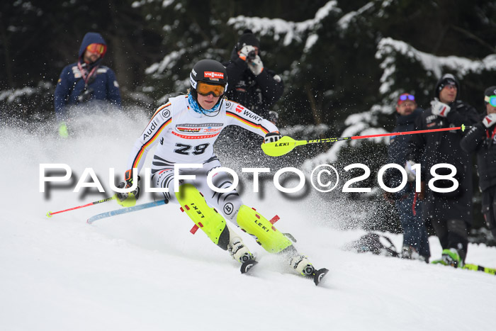 FIS Slalom Damen + Herren 23.02.2018