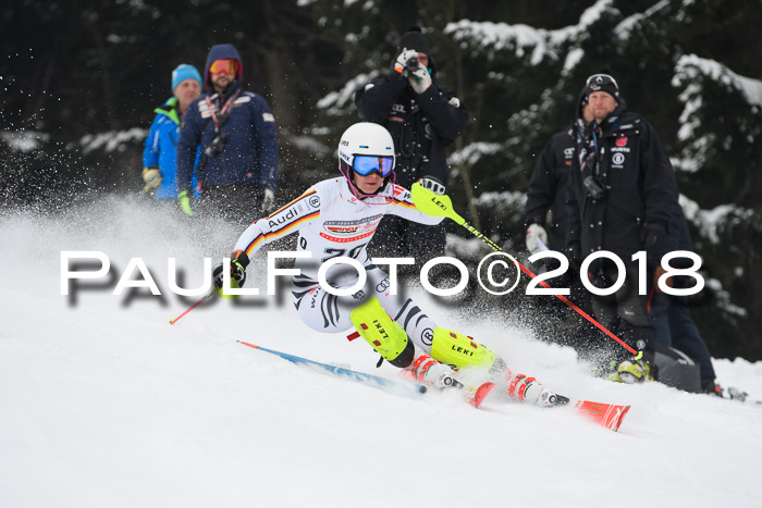 FIS Slalom Damen + Herren 23.02.2018