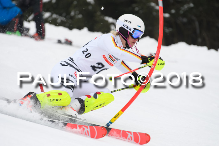 FIS Slalom Damen + Herren 23.02.2018