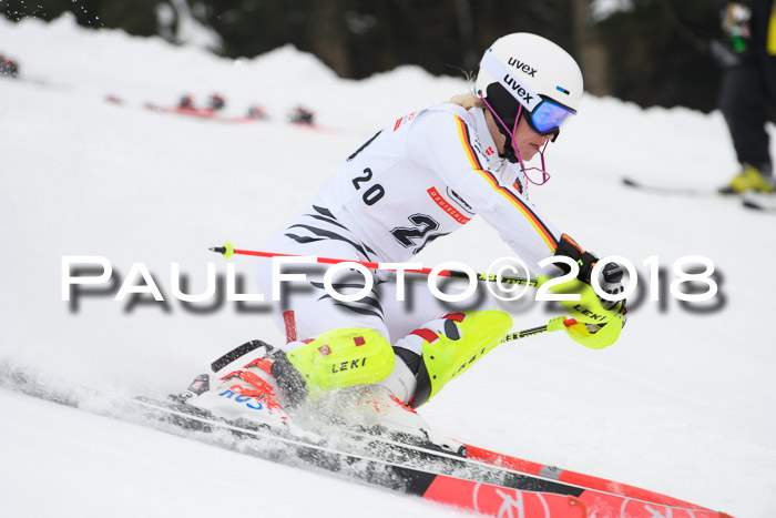 FIS Slalom Damen + Herren 23.02.2018
