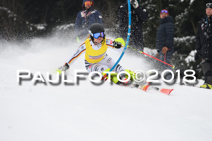 FIS Slalom Damen + Herren 23.02.2018
