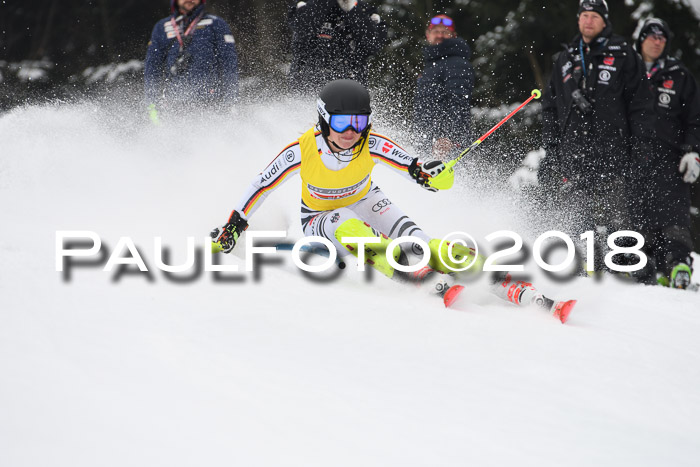 FIS Slalom Damen + Herren 23.02.2018