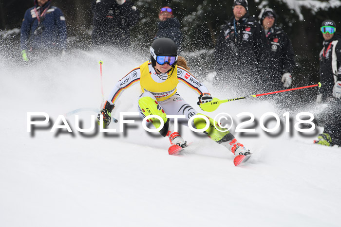 FIS Slalom Damen + Herren 23.02.2018