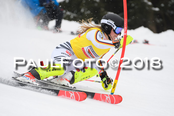 FIS Slalom Damen + Herren 23.02.2018