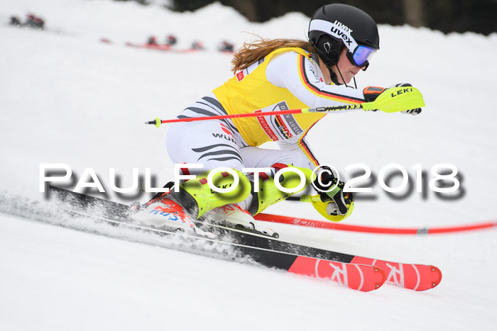 FIS Slalom Damen + Herren 23.02.2018