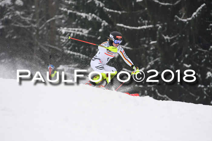 FIS Slalom Damen + Herren 23.02.2018