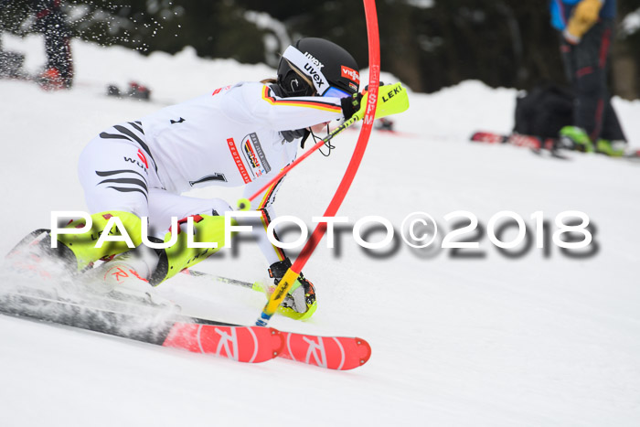 FIS Slalom Damen + Herren 23.02.2018