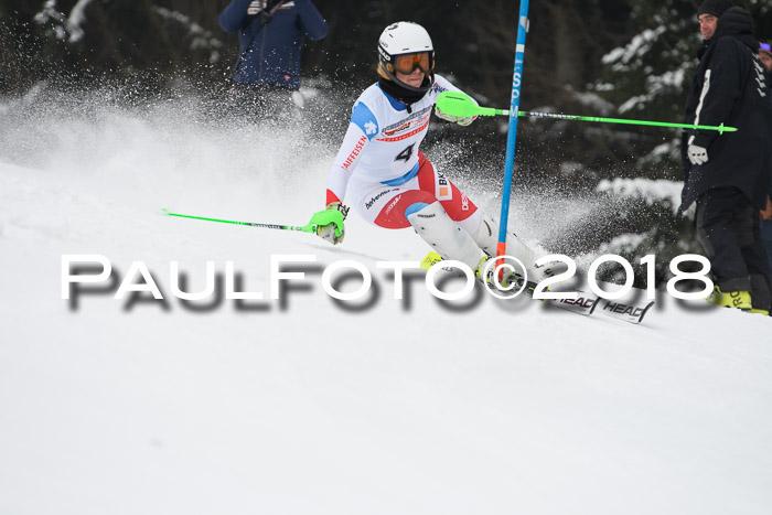 FIS Slalom Damen + Herren 23.02.2018