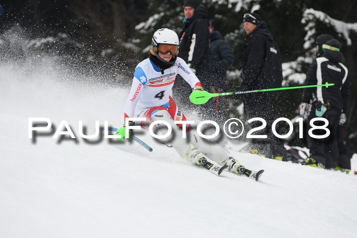 FIS Slalom Damen + Herren 23.02.2018