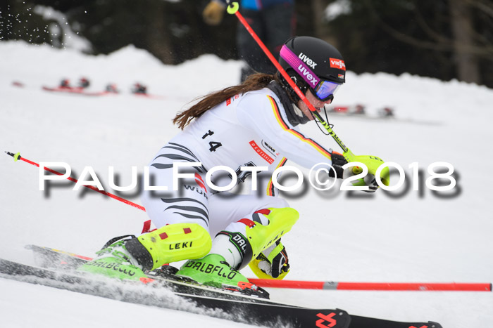 FIS Slalom Damen + Herren 23.02.2018