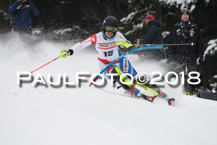 FIS Slalom Damen + Herren 23.02.2018