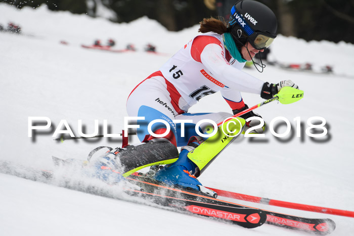 FIS Slalom Damen + Herren 23.02.2018