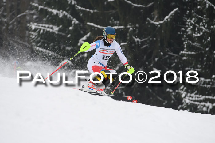 FIS Slalom Damen + Herren 23.02.2018