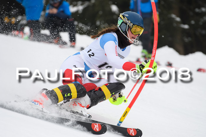 FIS Slalom Damen + Herren 23.02.2018