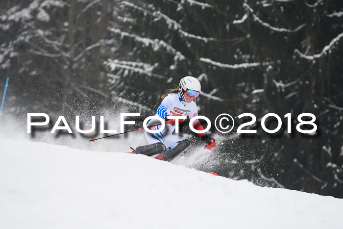 FIS Slalom Damen + Herren 23.02.2018