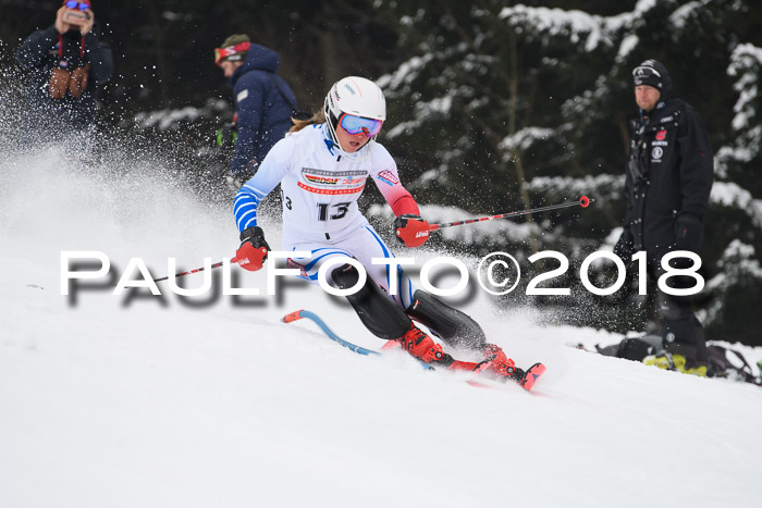 FIS Slalom Damen + Herren 23.02.2018