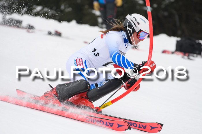 FIS Slalom Damen + Herren 23.02.2018