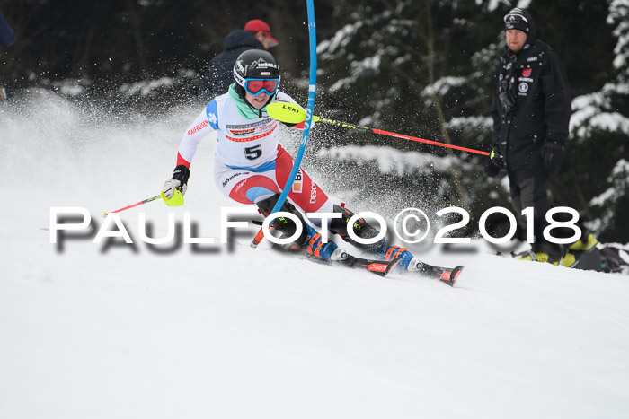 FIS Slalom Damen + Herren 23.02.2018