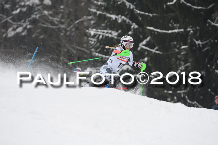 FIS Slalom Damen + Herren 23.02.2018