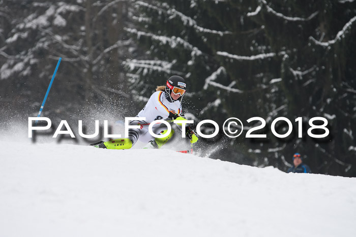 FIS Slalom Damen + Herren 23.02.2018