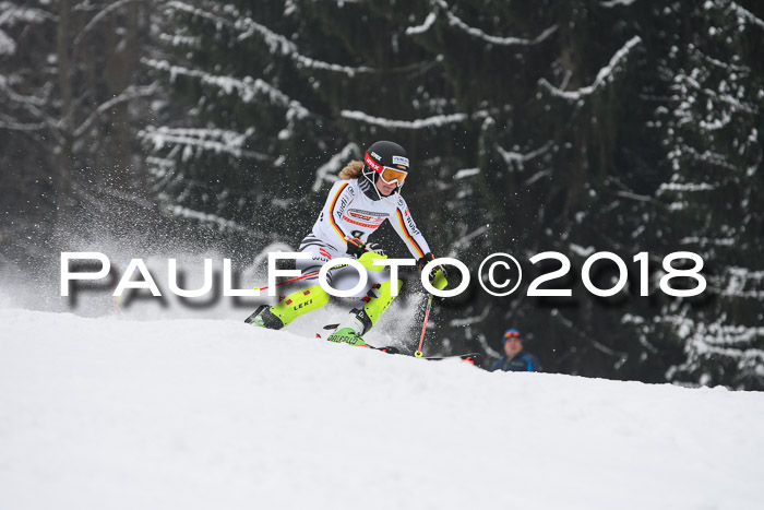 FIS Slalom Damen + Herren 23.02.2018