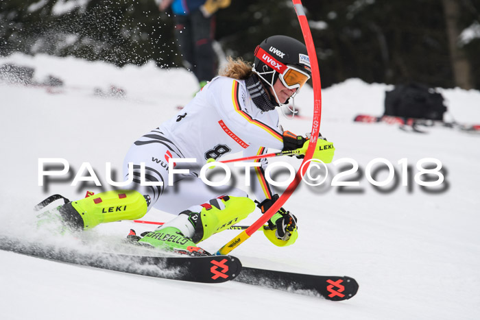 FIS Slalom Damen + Herren 23.02.2018