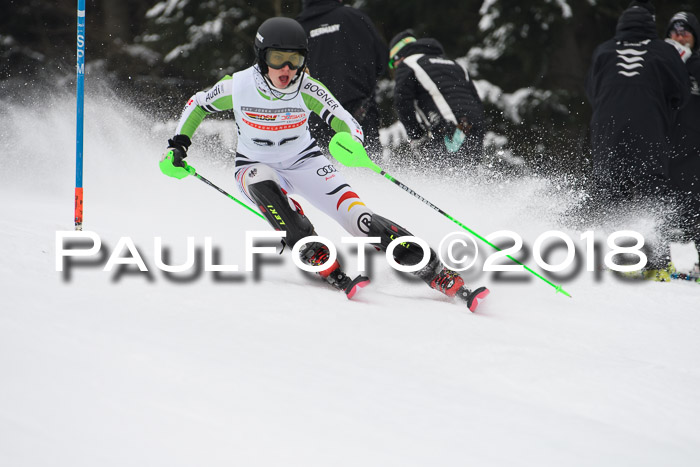 FIS Slalom Damen + Herren 23.02.2018
