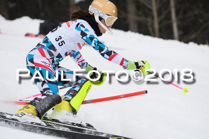 FIS Slalom Damen + Herren 23.02.2018