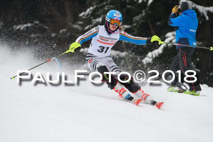 FIS Slalom Damen + Herren 23.02.2018