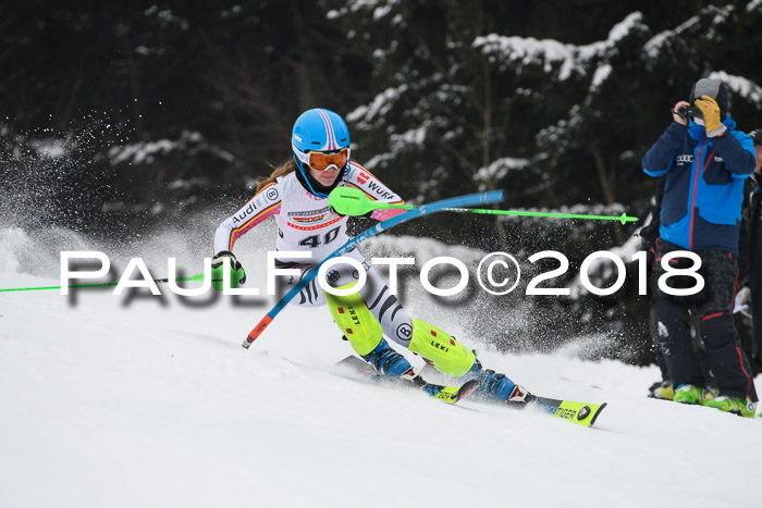 FIS Slalom Damen + Herren 23.02.2018