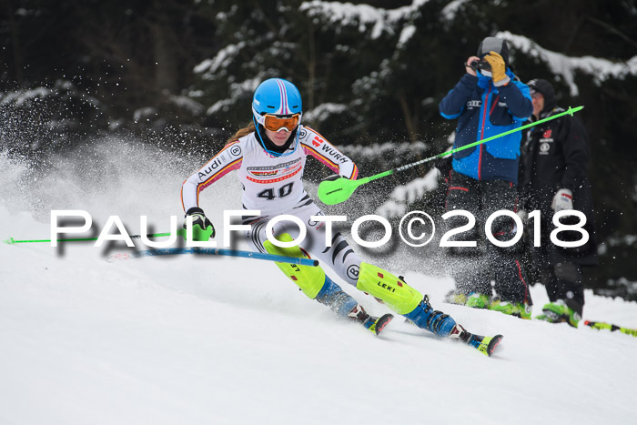 FIS Slalom Damen + Herren 23.02.2018
