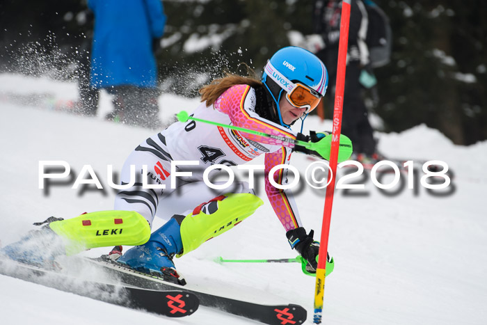 FIS Slalom Damen + Herren 23.02.2018