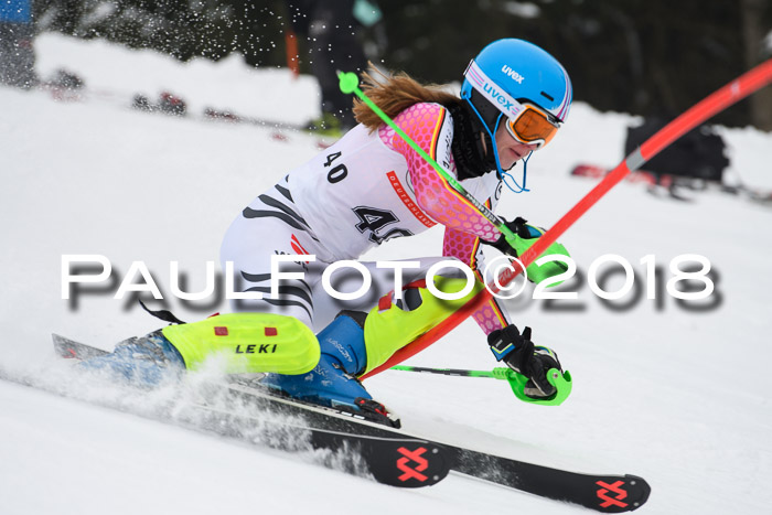 FIS Slalom Damen + Herren 23.02.2018