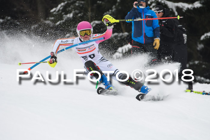 FIS Slalom Damen + Herren 23.02.2018