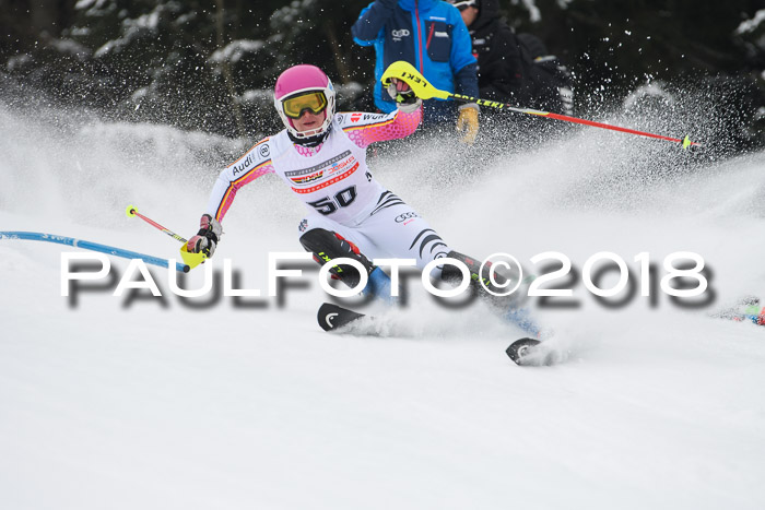 FIS Slalom Damen + Herren 23.02.2018