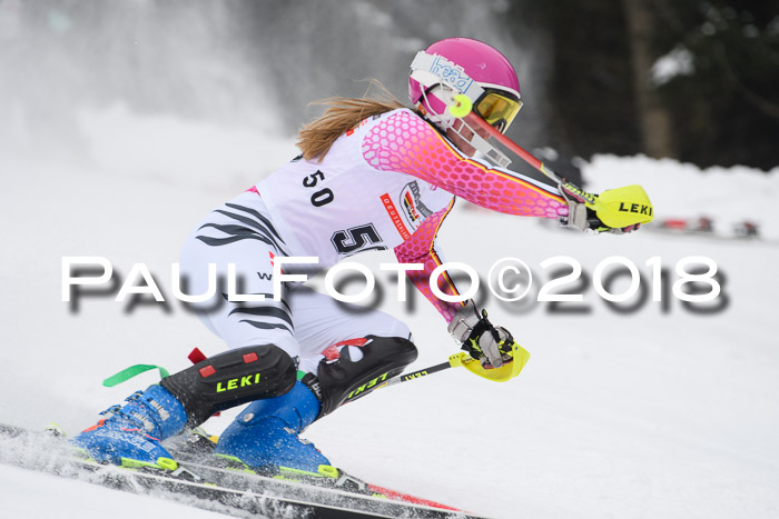 FIS Slalom Damen + Herren 23.02.2018
