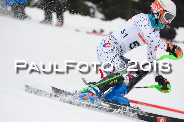 FIS Slalom Damen + Herren 23.02.2018