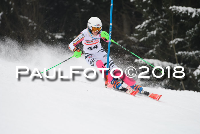 FIS Slalom Damen + Herren 23.02.2018