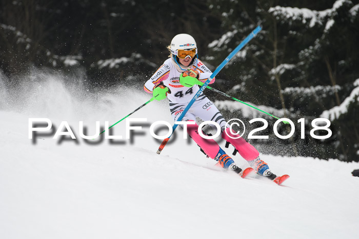 FIS Slalom Damen + Herren 23.02.2018
