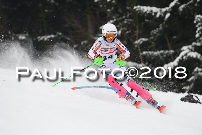 FIS Slalom Damen + Herren 23.02.2018