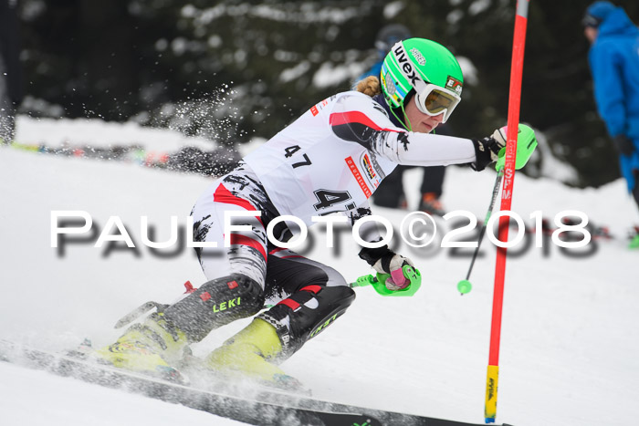 FIS Slalom Damen + Herren 23.02.2018