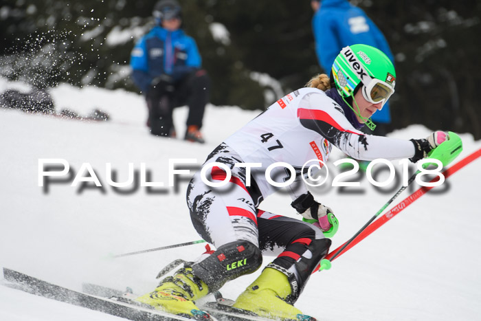 FIS Slalom Damen + Herren 23.02.2018